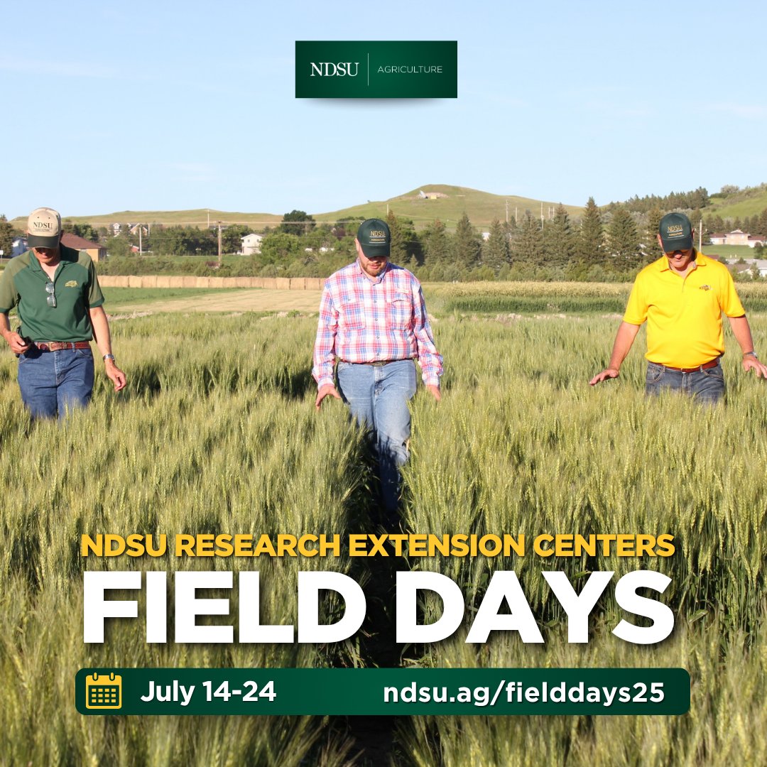 NDAgExpStation's tweet image. Ready to walk the plots and connect with experts? Field Days kick off July 14 at Central Grasslands REC. Discover tools, data, and strategies you can use this season.
Find a Field Day >>> ndsu.ag/fielddays25
