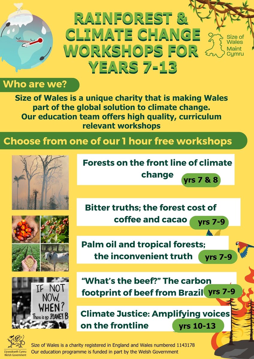 🌳 #climatechange #education