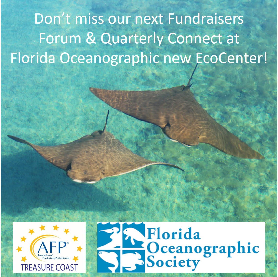 AFP_TC's tweet photo. Register now for the Funders Forum on July 15th! - https://t.co/rMMd99R4k0 https://t.co/avTgfywy62