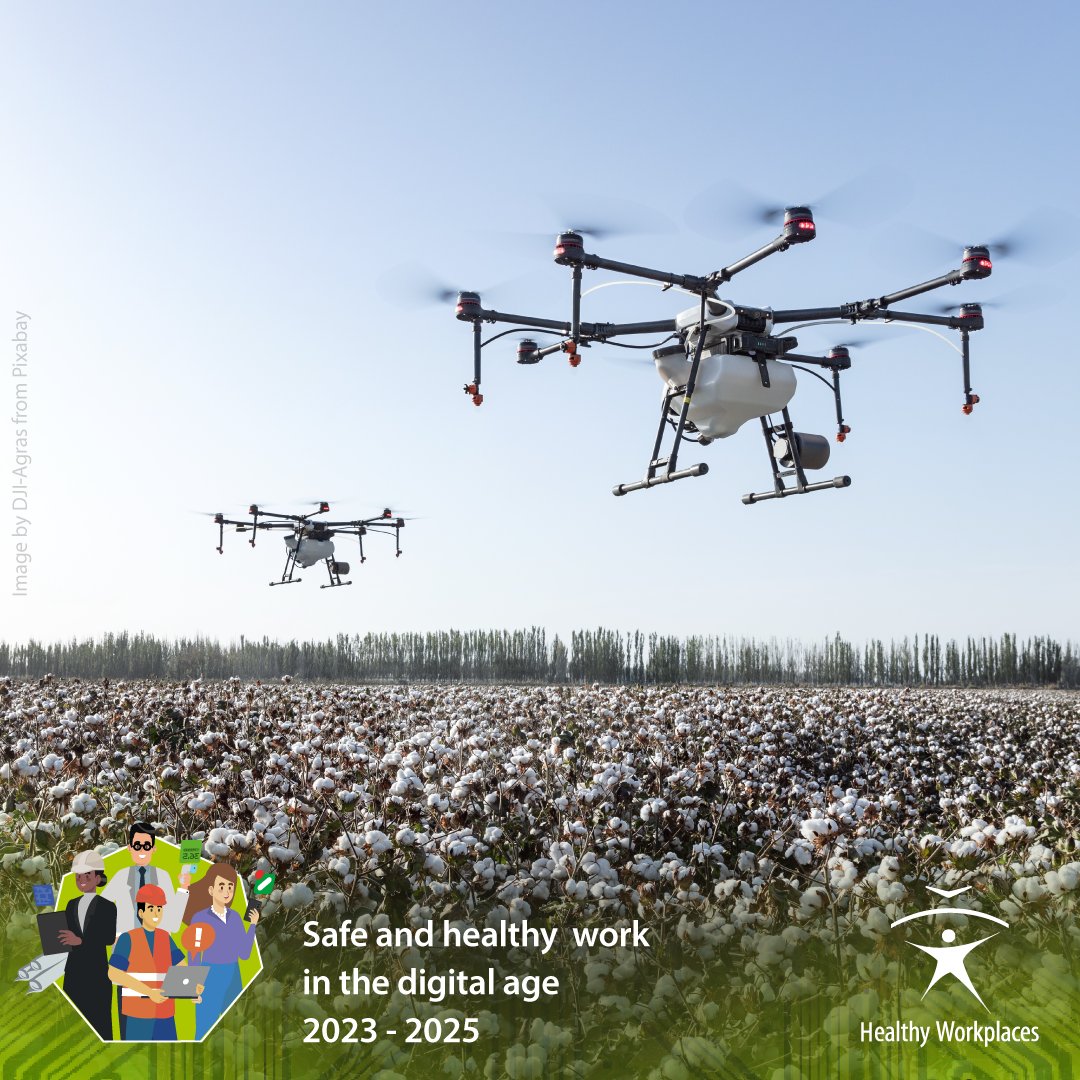 🚨 ¿Tecnología que cuida… o vigila? 🤖

Los sistemas inteligentes pueden salvar vidas en el trabajo ⚠️, pero también ponen en juego la privacidad y la confianza 🕵️‍♂️

📄 EU-OSHA te cuenta cómo aprovecharlos sin riesgos 👉 run.gob.es/dmvac2a6

#RESST #EUhealthyworkplaces