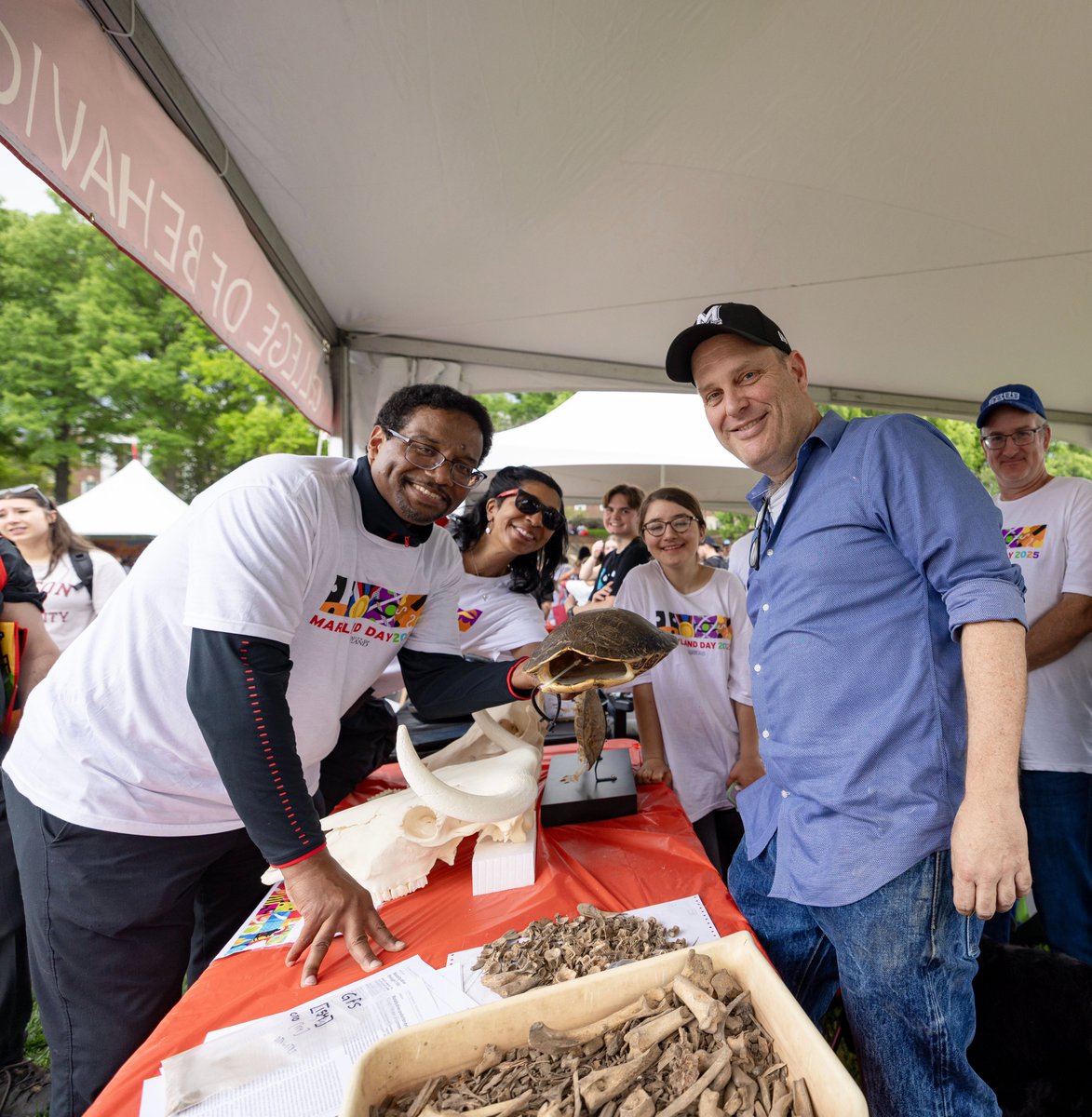 President_Pines's tweet image. Some favorite photos from every season - happy summer, Terps!