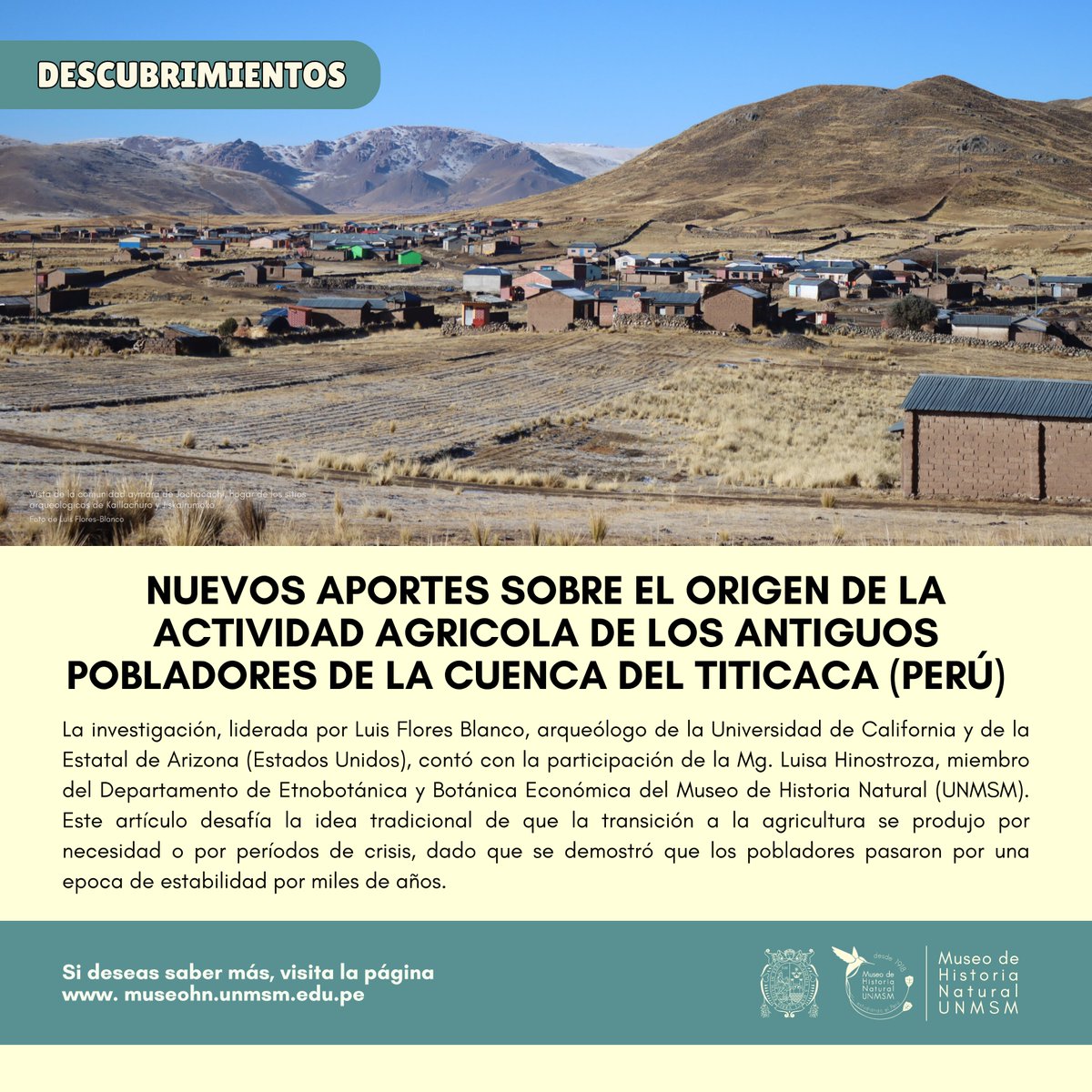 #NuevoDescubrimientoMHN
🧐🤠¡Nuevos aportes! Arqueólogos plantean nuevo origen de la agricultura en el altiplano, basandose en la dieta de los antiguos pobladores de la cuenca del Titicaca (Perú).