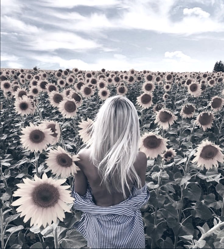 storm987108's tweet image. Come get lost with me where sunflowers kiss the sky and rules don’t matter.