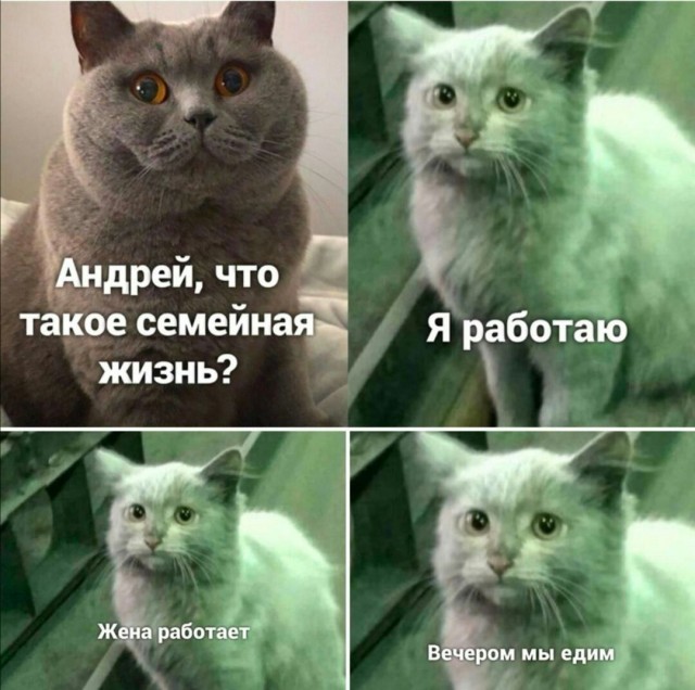 До слез правдиво)