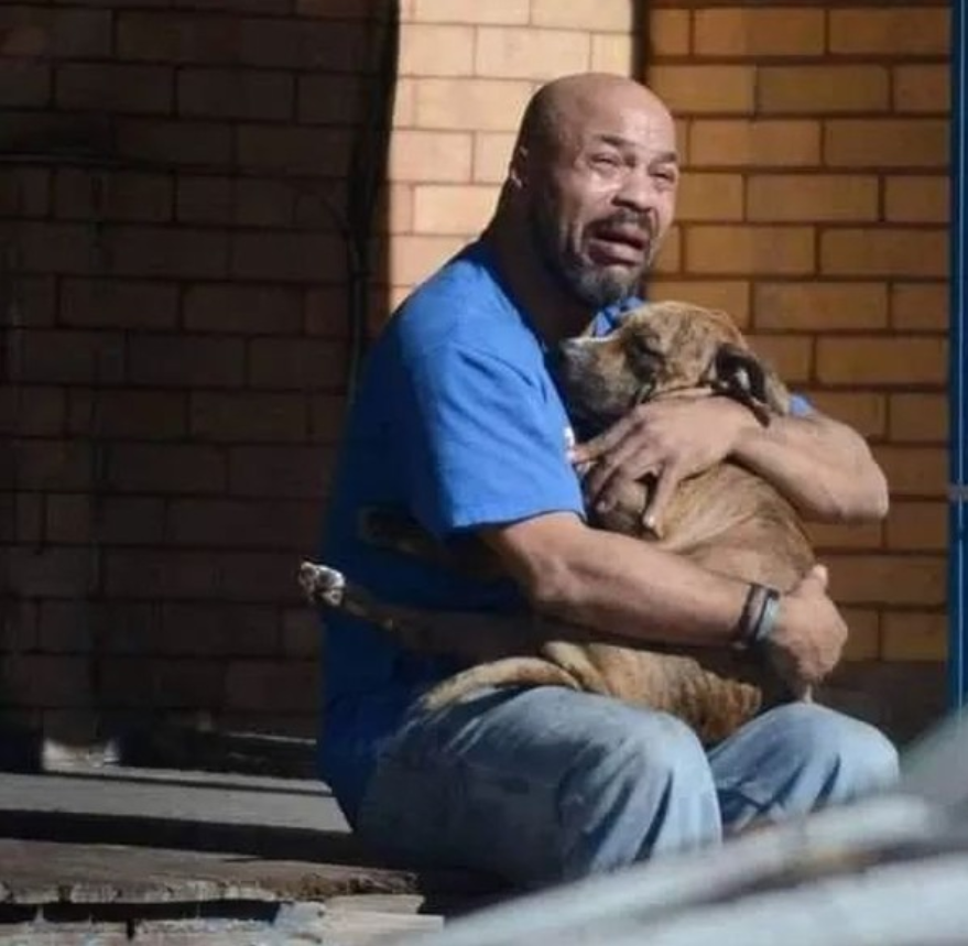 Losing a dog is much harder than many people think 😔😥