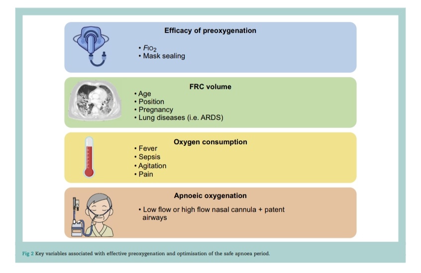Manejo de la Vía Aérea en Pacientes Críticos 🫁🏥

🔰📚BJA Education 2025

doi: 10.1016/j.bjae.2025.05.003

Enlace a Artículo Completo 👇🏼✅🆓t.me/SoMELaguna