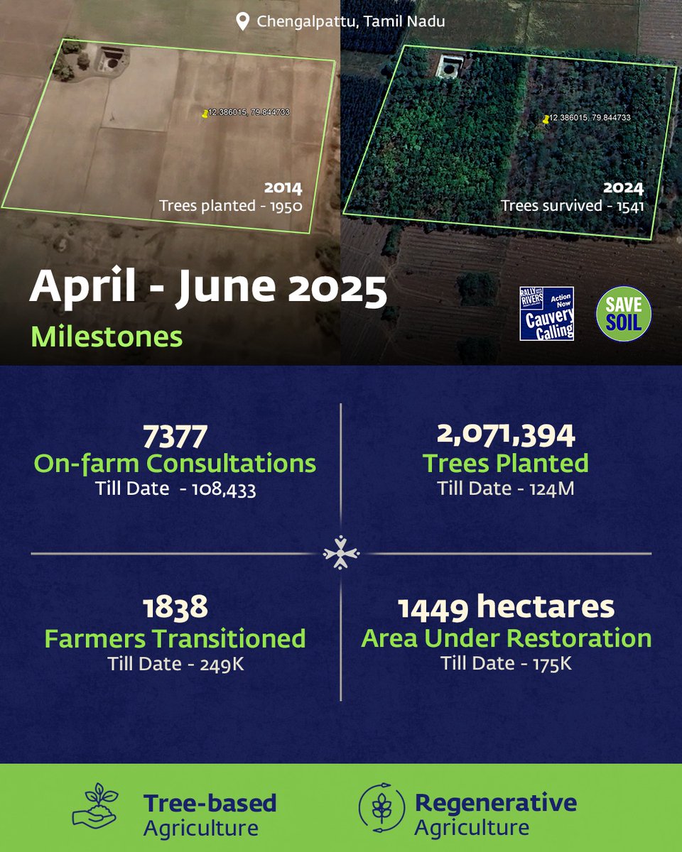 SwamiLavana's tweet image. A whopping 79% survival after 10 years!

The reason why @SadhguruJV has always emphased on tree plantation by farmers in their farmlands! 🌱🌳
#ProjectGreenHands
#RallyForRivers 
#CauveryCalling
#SaveSoil 
🙏
@ErikSolheim
@UNCCD
@wef