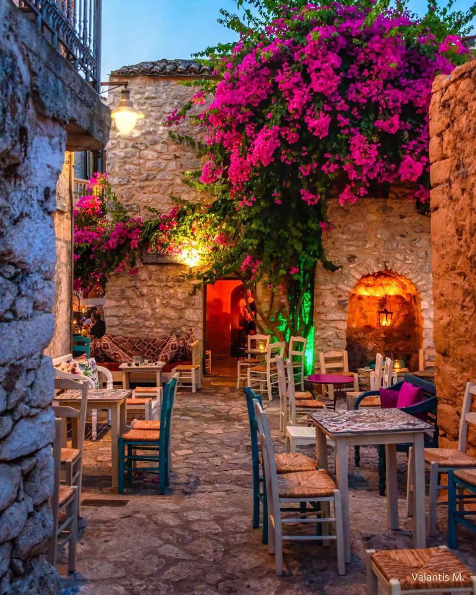 AnsarArooma's tweet photo. Happy evening to all 🌹🌿🌷🌿🌙 https://t.co/9XxFzWqwsF