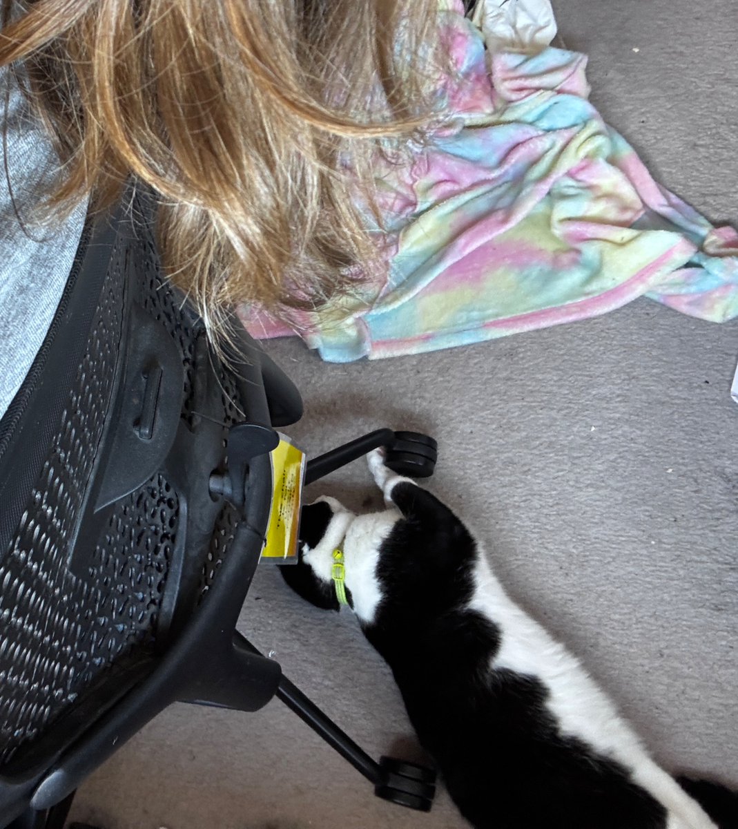 At the top: blanket for him to lie on

At the bottom: where he chooses to sleep. 

At least I don’t need to move my chair (he’s a hard taskmaster!)