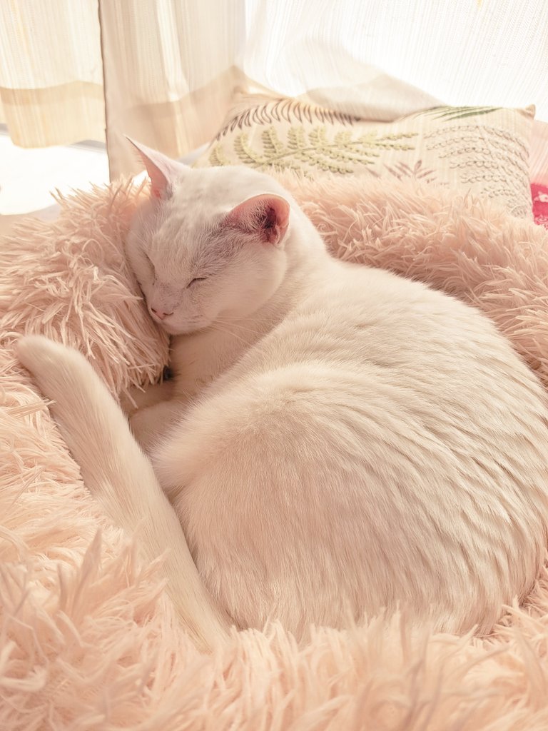 はるか昔にいただいていたメッセージを、私が見逃してしまっていて