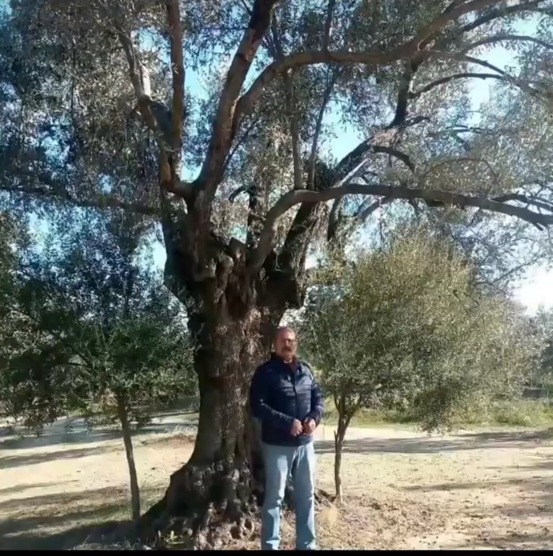 <a href="/muhsinyener/">Muhsin Yener</a> #Muhsinyener