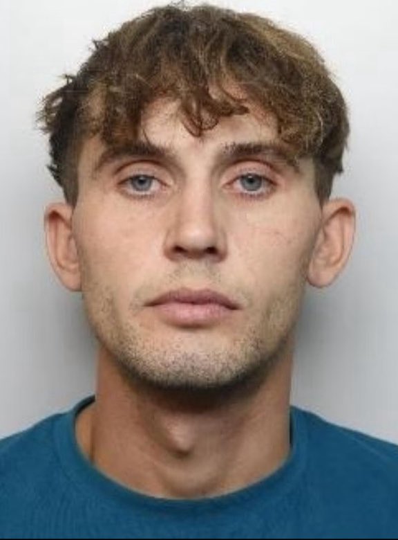 In case you missed it…

This is Joseph Haythorne.

He’s 26 years old—and now the latest Brit to be jailed for a social media post.

In the wake of the Southport child murders and the resulting unrest, Haythorne took to X and wrote:

“Go on Rotherham, burn any hotels with those