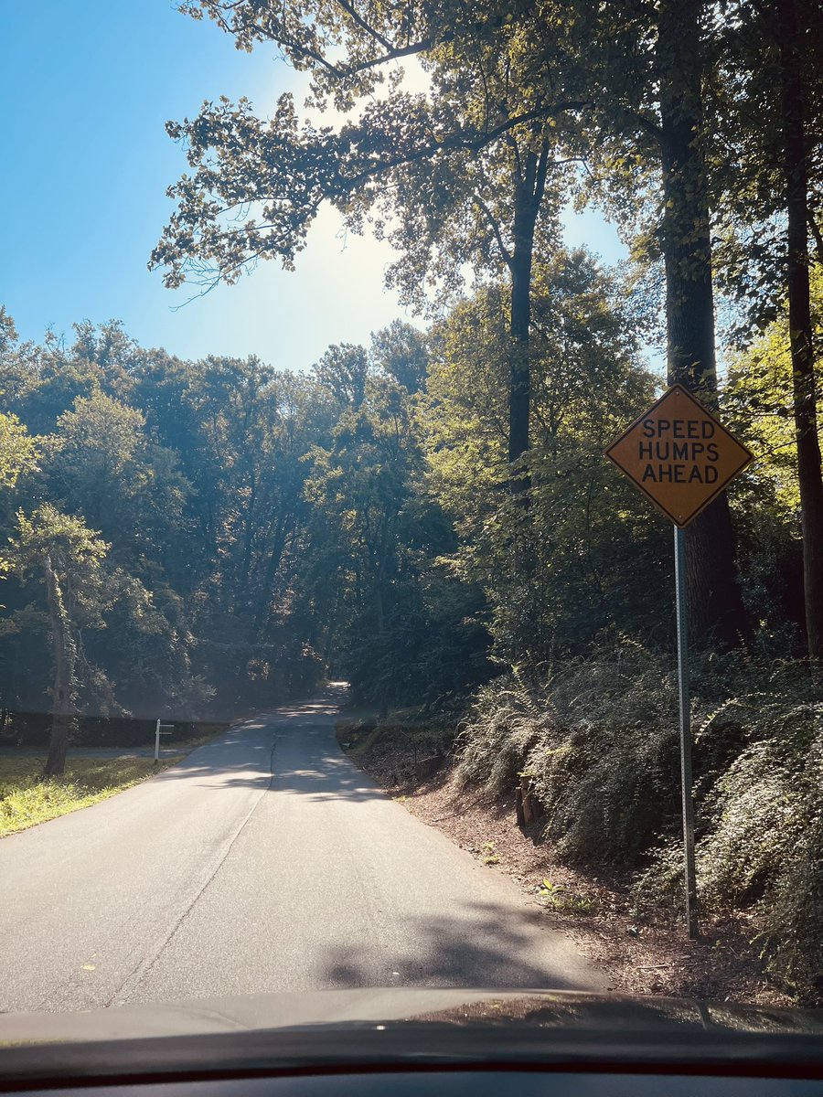 Bright, blue skies with an evergreen, cautionary reminder on the road to Washington, DC.