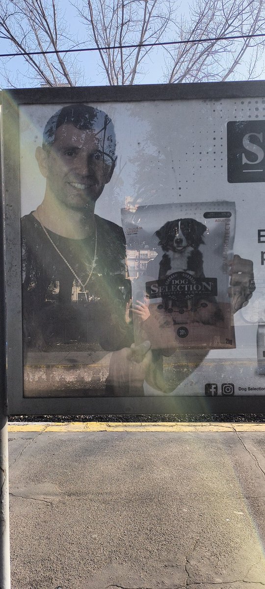 PinkertonVive's tweet image. Mirá que no te como.
Al Dibu le desinstalaron la palabra "no". Rechazá alguna publicidad amigo.