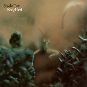 Featured Album on John's Sensational 70's now is Steely Dan's Katy Lied. 
One of the many classic tunes you can hear on Hits Radio Ireland. 
#SteelyDan #HitsRadioIreland <a href="/johnmtroy/">John Troy</a>