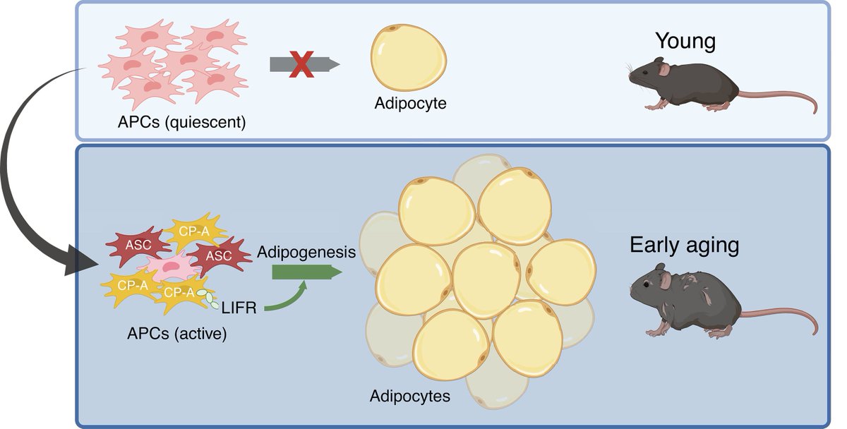 humanOS.me tweet media