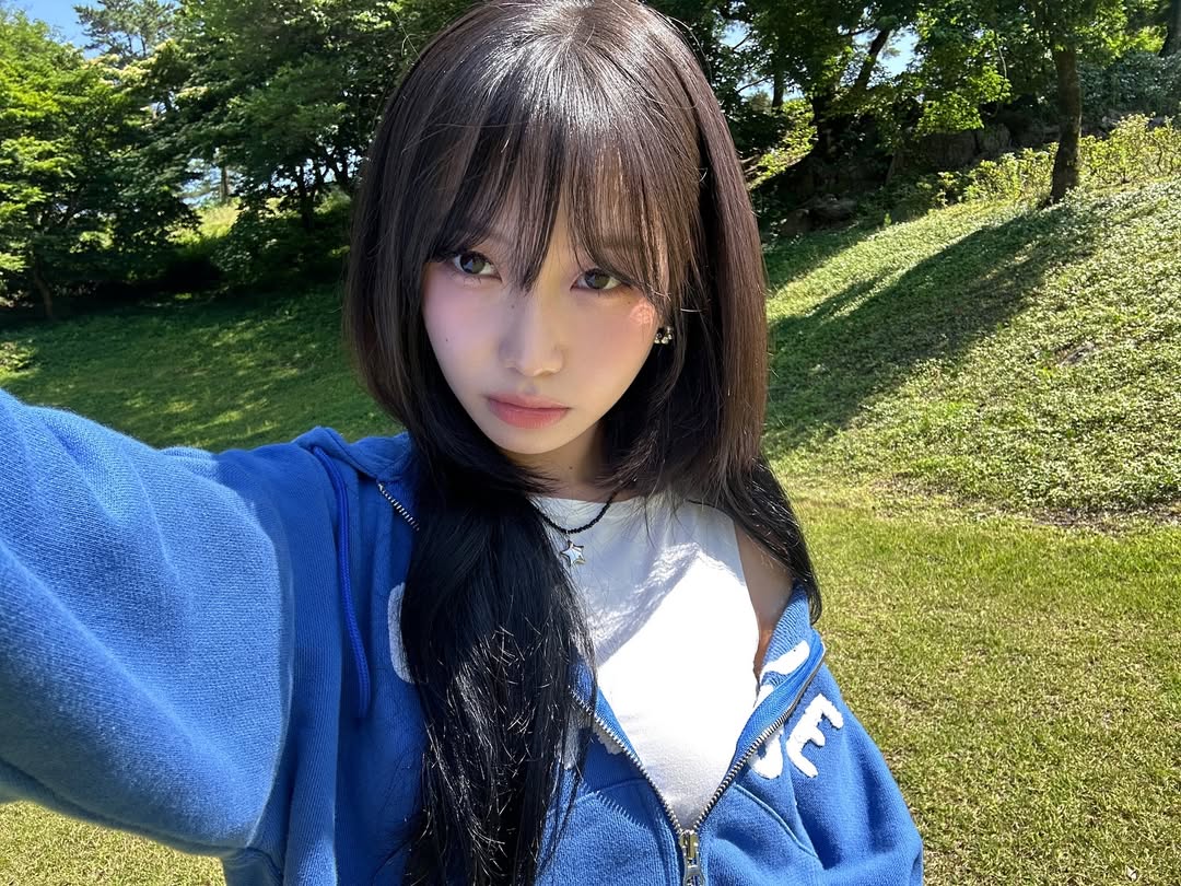 ryusujoeng's tweet photo. 🌲🌳🌴 https://t.co/6ZsnCdNQRK