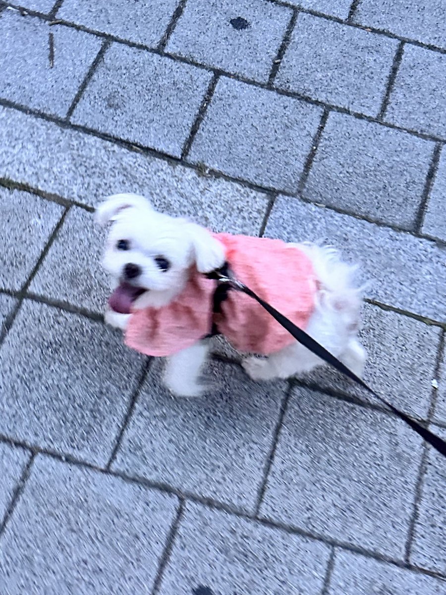 영원히 서로를 봐