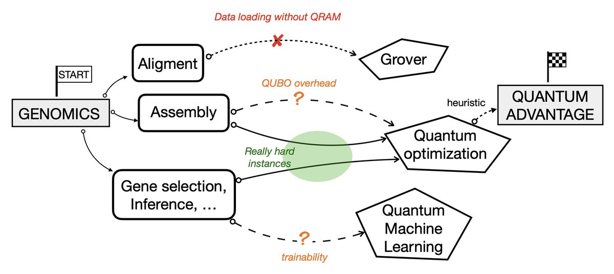 With <a href="/aurora_maurizio/">Aurora Maurizio</a> we wrote a perspective about quantum computing for genomics (arxiv.org/abs/2507.04111). Genome search problems are not "hard" enough, but there could be potential for some hard combinatorial optimization tasks in assembly, gene selection, and inference.