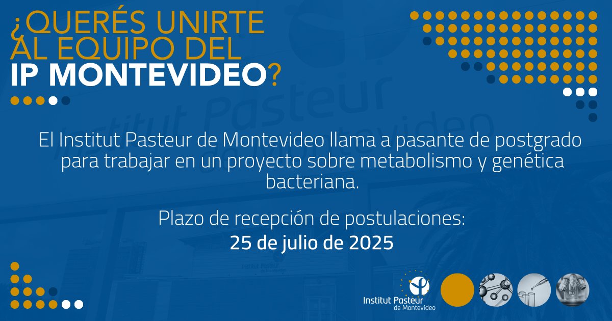 IPMontevideo's tweet image. 📢 ¡Llamado abierto!
El Institut Pasteur de Montevideo llama a pasante de postgrado para trabajar en el proyecto “Microbioma oral e intestinal de pacientes con enfermedad periodontal”.
📅 Plazo para postular: 25/7/2025
ℹ️ Más info: bit.ly/46uohae