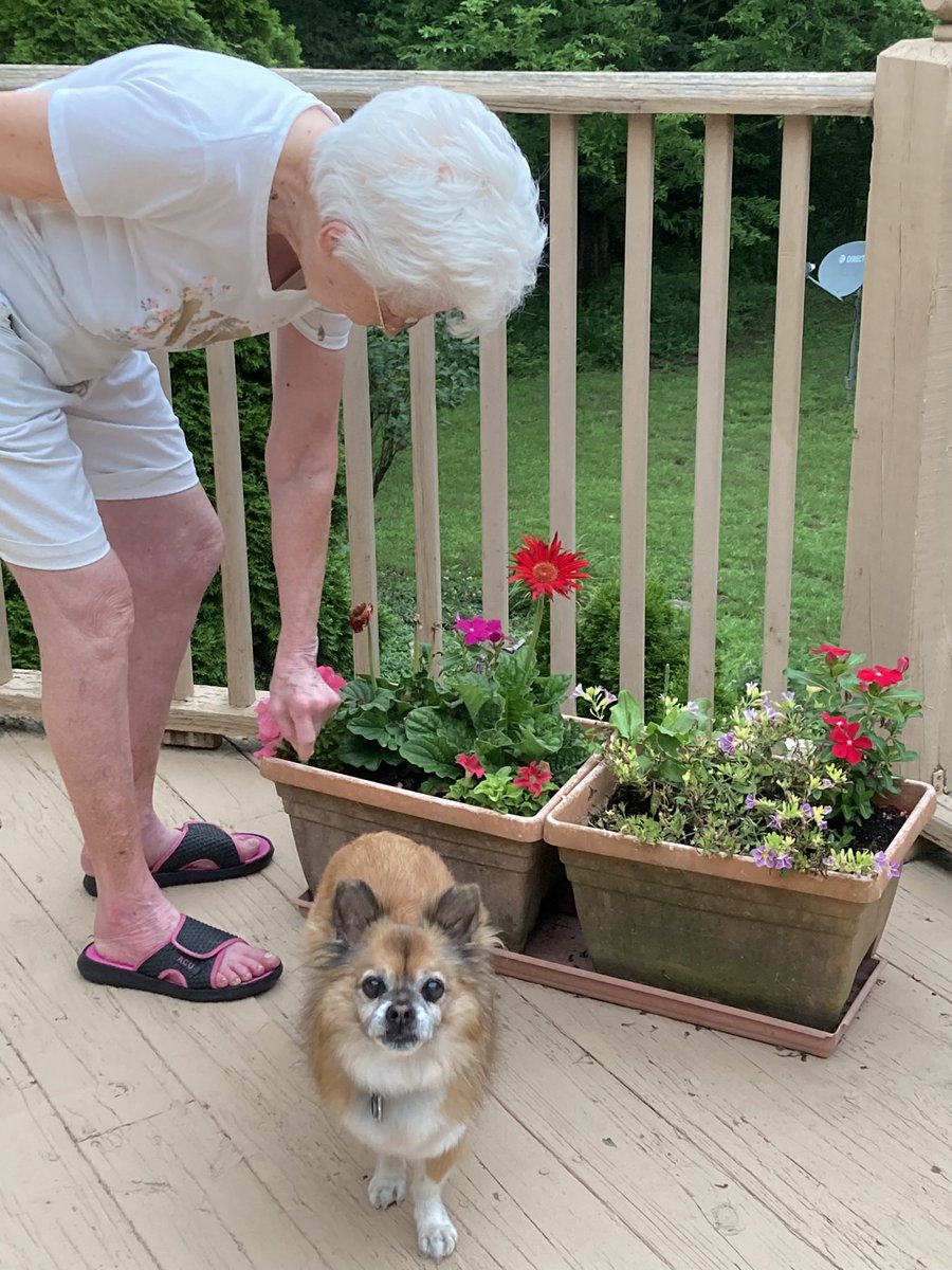 Mello Fellow (@mellow_fello) on Twitter photo Tuesday’s Remaining Guests…and Midwest report: Hot summer day coming up, Hydrate, Pals! Prince just can’t get enough BBQ…I say…time to GO! <a href="/JoyOfCats/">The Joy Of Cats 🫶🇨🇦</a> <a href="/JoyOfCats/">The Joy Of Cats 🫶🇨🇦</a> <a href="/chigal111/">Elsie the Cat</a> <a href="/LordGraydon/">Ms. Savoy & Mr. Sanderson @LordGraydon</a> <a href="/SkittlesFriends/">Skittles & Friends Purrs4Peace, ☮️🇨🇦🇺🇦</a> <a href="/Spicyandfriends/">Spicy the Cat</a> <a href="/charlakari/">charla kari</a> <a href="/Aishatonu/">JC Reilly🐈🐈⬛🐈</a> Tuesday’s Remaining Guests…and Midwest report: Hot summer day coming up, Hydrate, Pals! Prince just can’t get enough BBQ…I say…time to GO! <a href="/JoyOfCats/">The Joy Of Cats 🫶🇨🇦</a> <a href="/JoyOfCats/">The Joy Of Cats 🫶🇨🇦</a> <a href="/chigal111/">Elsie the Cat</a> <a href="/LordGraydon/">Ms. Savoy & Mr. Sanderson @LordGraydon</a> <a href="/SkittlesFriends/">Skittles & Friends Purrs4Peace, ☮️🇨🇦🇺🇦</a> <a href="/Spicyandfriends/">Spicy the Cat</a> <a href="/charlakari/">charla kari</a> <a href="/Aishatonu/">JC Reilly🐈🐈⬛🐈</a>