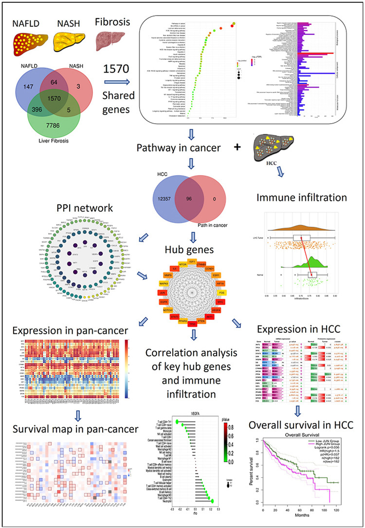 Journal of Precision Medicine: Health and Disease (@jprecisionmed) on Twitter photo Chunye Zhang (<a href="/BondLifeSci/">Mizzou Life Sci Center</a>) et al. examined the #molecular mechanisms from the transition of MASLD-MASH-liver fibrosis to liver cancer in this recent study⚙️🔬
📜Read the #Research here: doi.org/10.1016/j.prem… Chunye Zhang (<a href="/BondLifeSci/">Mizzou Life Sci Center</a>) et al. examined the #molecular mechanisms from the transition of MASLD-MASH-liver fibrosis to liver cancer in this recent study⚙️🔬
📜Read the #Research here: doi.org/10.1016/j.prem…