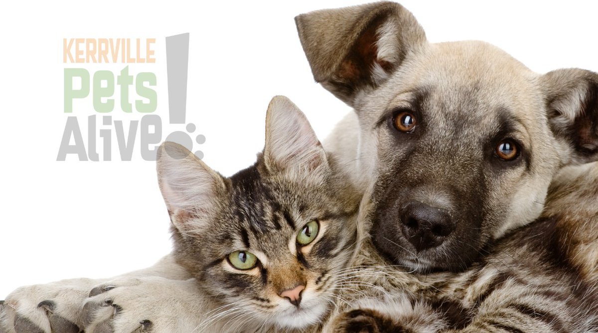 Havoc_Six's tweet image. Good morning,
I wanted to share a quick roundup of some of the charities & groups that are raising funds for the families impacted by the floods in Texas, if you're interested.
In no particular order:
Kerrville Pets Alive has been overwhelmed with pets needing new homes or…