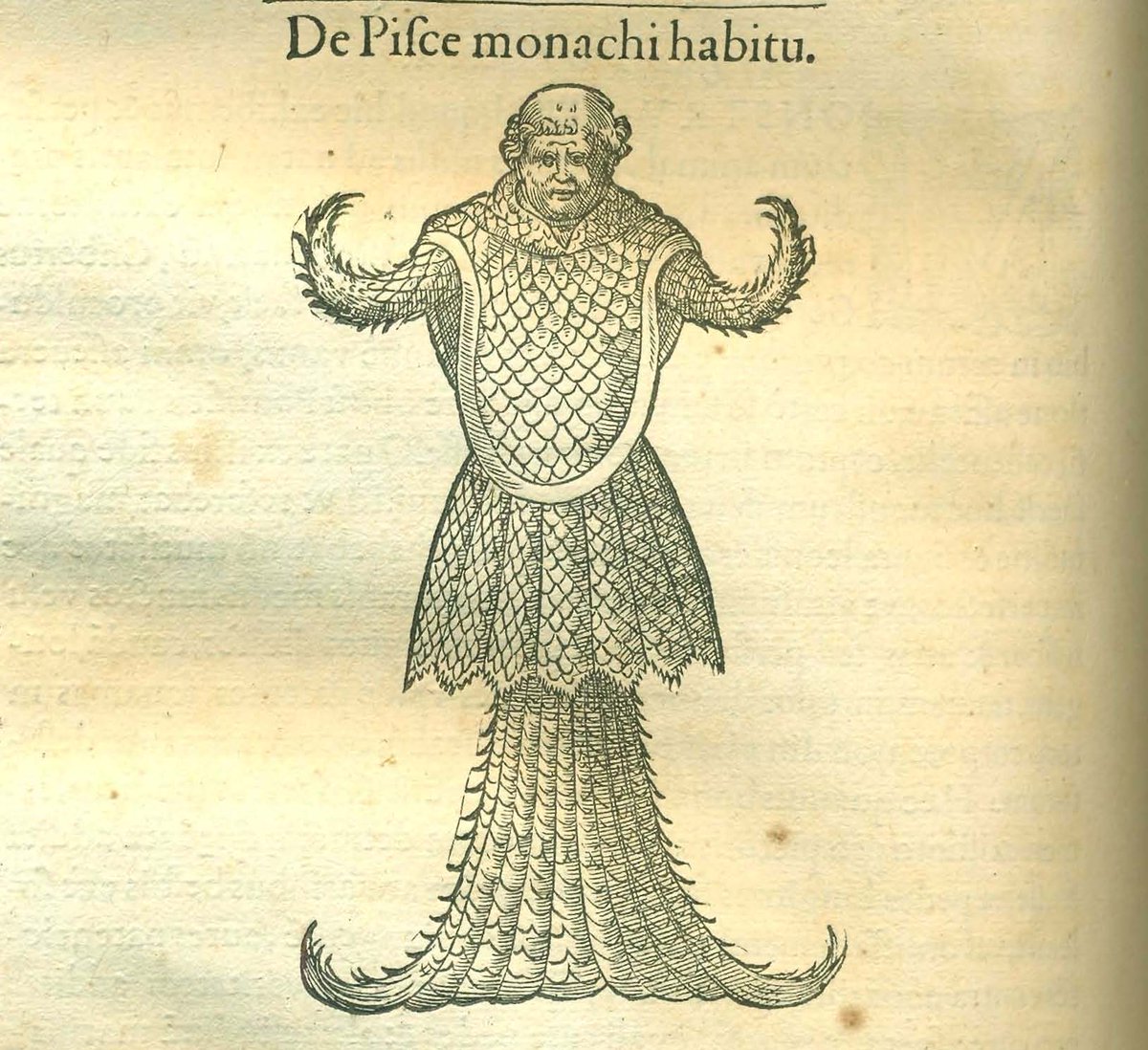 En la obra que Guillaume Rondelet (1507-1566) dedicó a los peces marinos, impreso por M. Bonhomme en Lyon en 1554, encontramos alguna que otra "especie" fantástica, como el "pez monje". Xilografía atribuida al grabador italiano Georges Reverdy (1531-1564) bibliotecavirtual.ranm.es/ranm/es/consul…