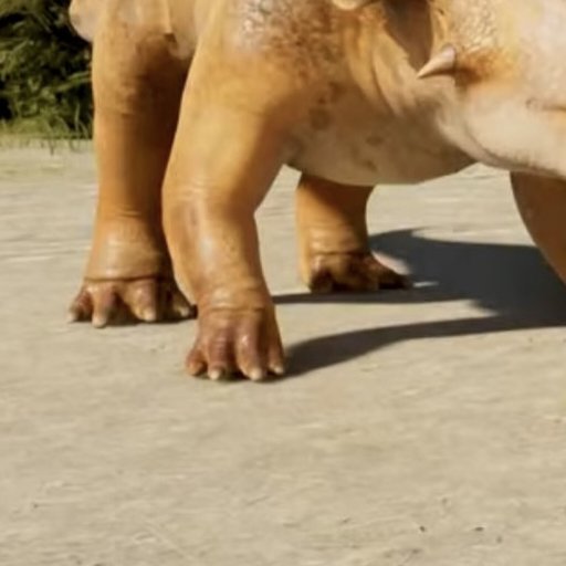 I just want to appreciate that they did the forefoot anatomy better this time. 5 fingers with only the first 3 digits having nails