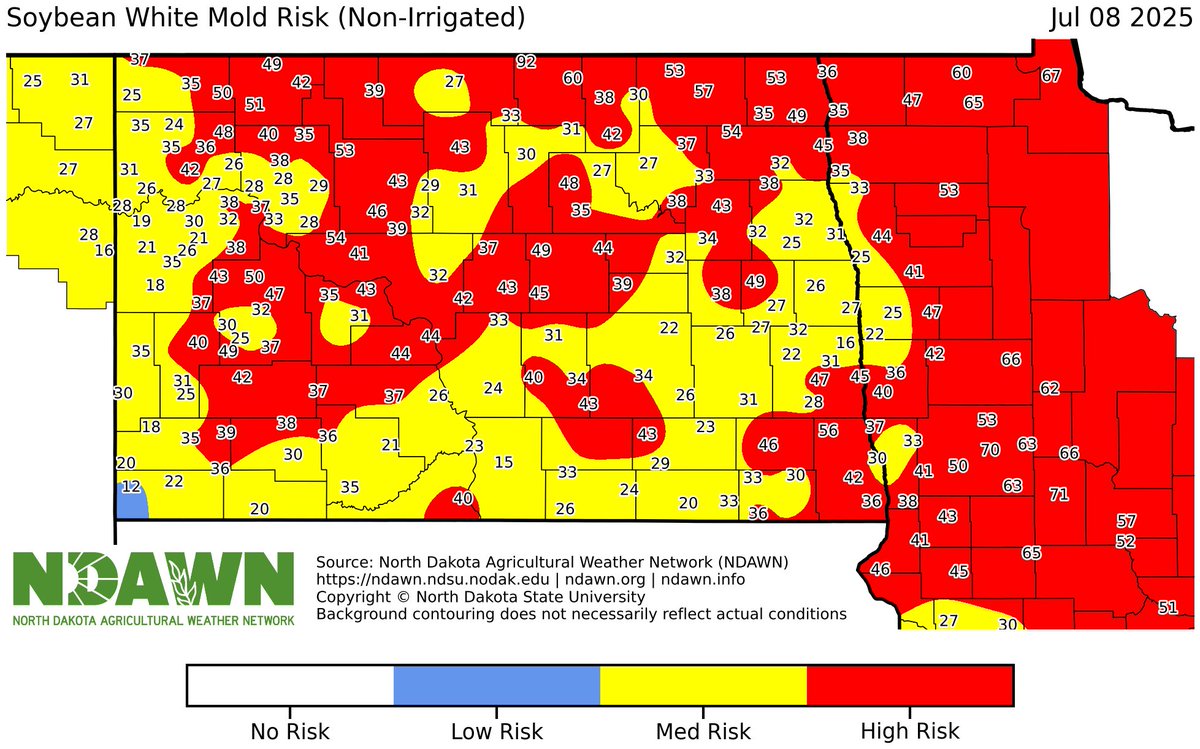 BisonBeanDoc's tweet image. Lots of soybeans starting to flower across North Dakota. With cool temps and more rain in the forecast, risk for white mold is expected to continue climbing. Remember that canopy closure is incredibly important for the white mold apothecia to form.