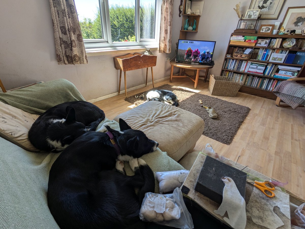 No, we're not watching tv. We're working! The fact that the TV is tuned to The Tour de France is immaterial. I've got a cat and a dog portrait commission to do by the end of next week and I have to sit somewhere 😄