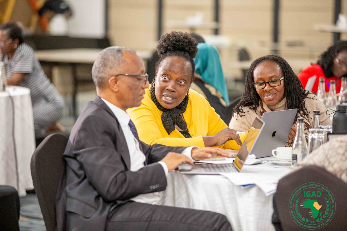 IGAD Gender tweet media