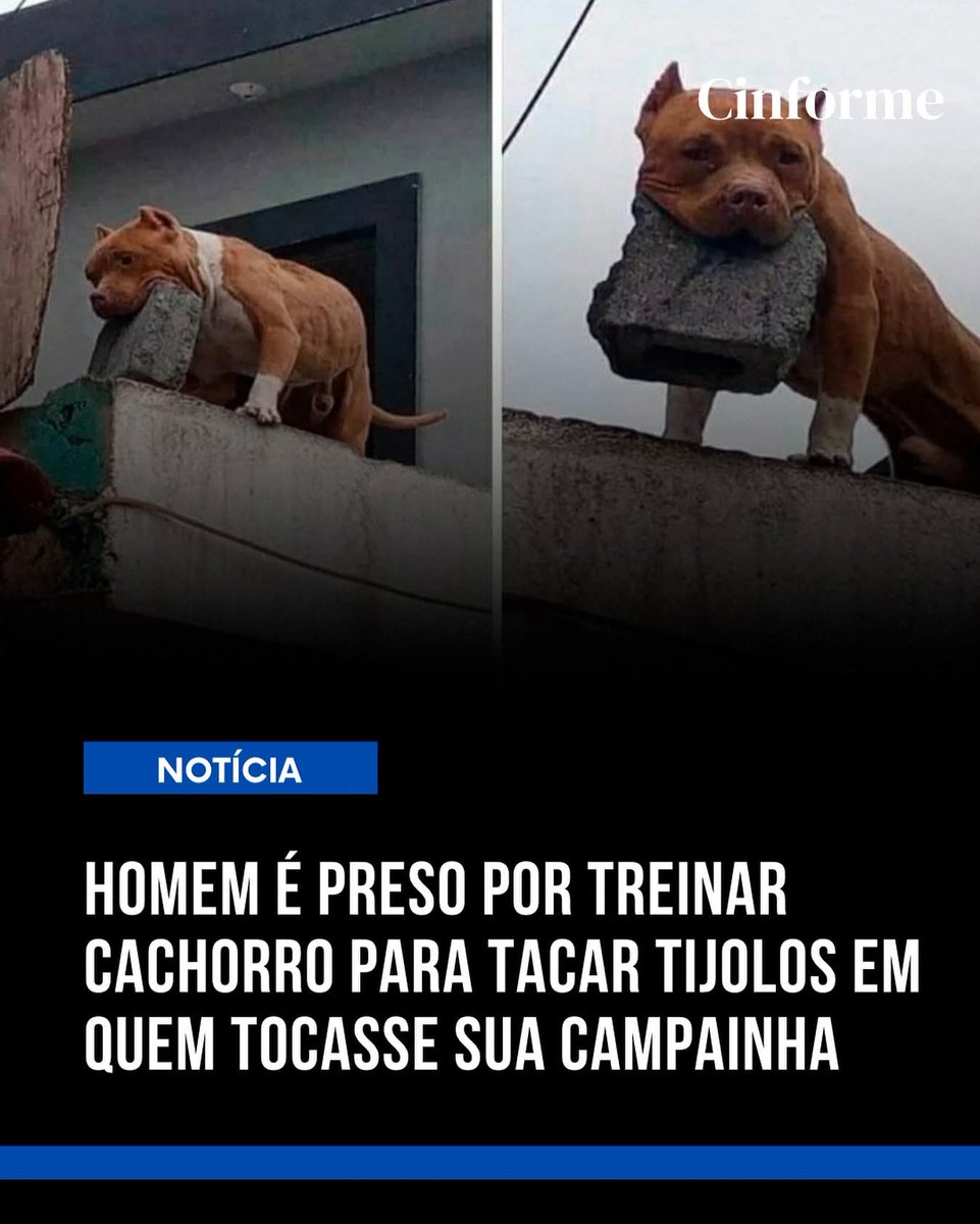 Plantão Baixada RJ (@plantaobaixadaa) on Twitter photo 