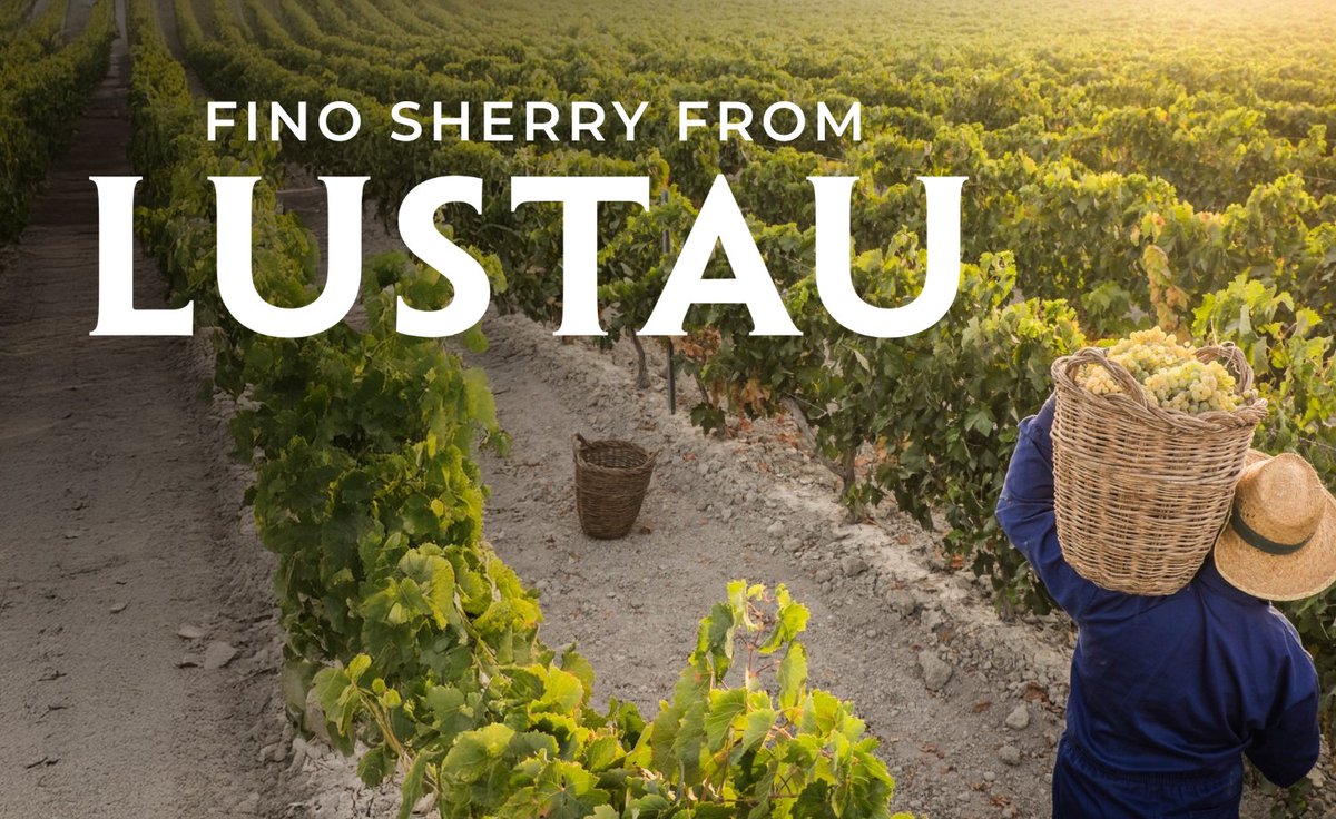 Sherry has been made in Southern Spain for centuries. Jerez is one of the oldest grape-growing regions on the planet, and Lustau, established in 1896, is among its most famous producers.✨

Read more: winecellar.co.za/fino-sherry-fr…