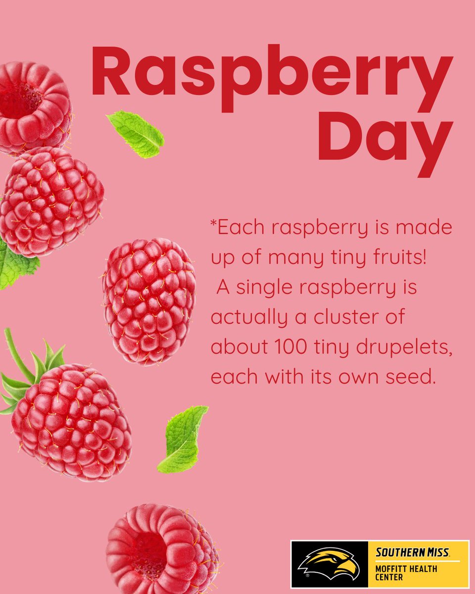 USMhealth's tweet image. 🍓 Happy Raspberry Day, Eagles! 💛🦅 Did you know... 🌟 A single raspberry is made up of about 100 tiny drupelets — it’s like a bunch of mini fruits in one! 🌈 Raspberries aren’t just red — they also come in black, purple, yellow, and golden varieties! #RaspberryDay