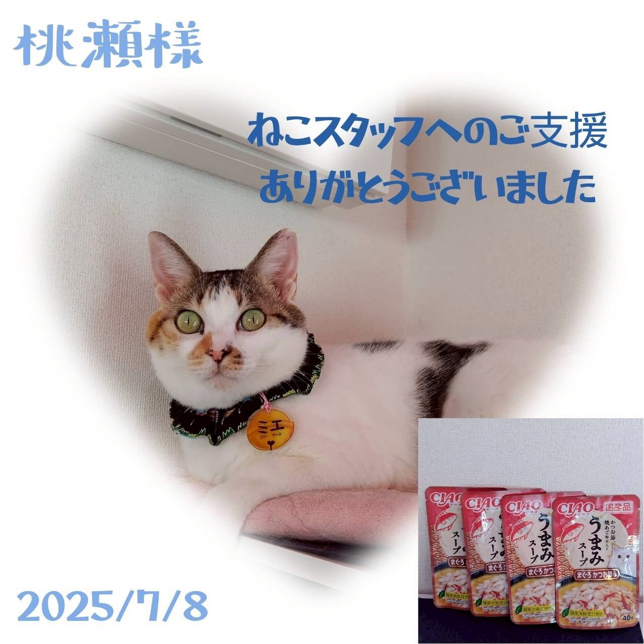 とらじ⟡.* ベジトラグ L VGT-A02 4975149570980