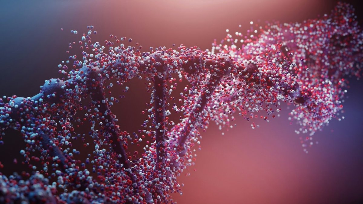 New Google AI Will Work Out What 98% of Our DNA Actually Does for the Body 🧬

ow.ly/zVuK50Wm6ii