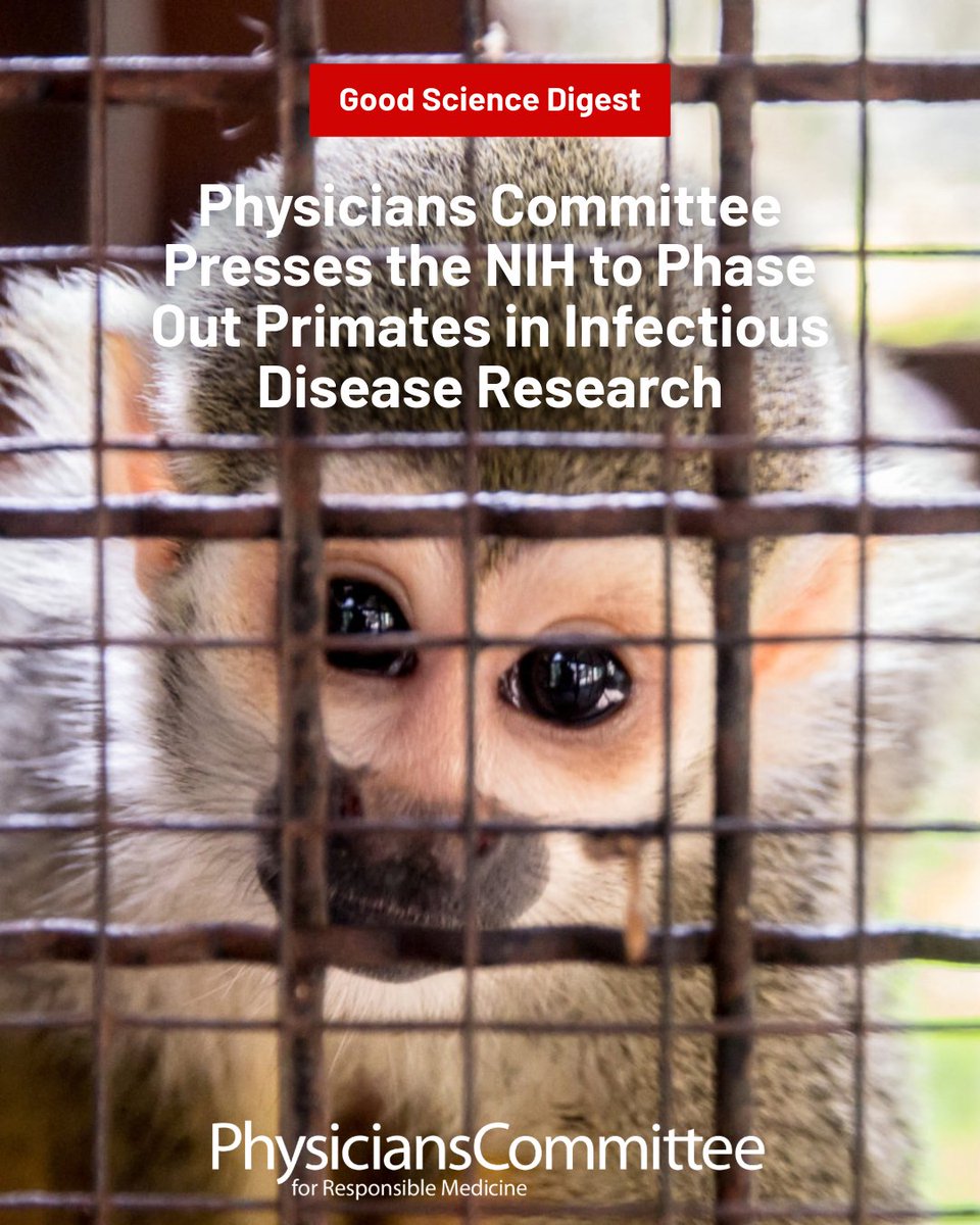 PCRM's tweet image. The National Institutes of Health (NIH) continues to fund primate research for infectious diseases with hundreds of millions annually despite a long history of failure.
The Physicians Committee is urging the NIH to stop funding failed models and move to organ chips, AI, and…