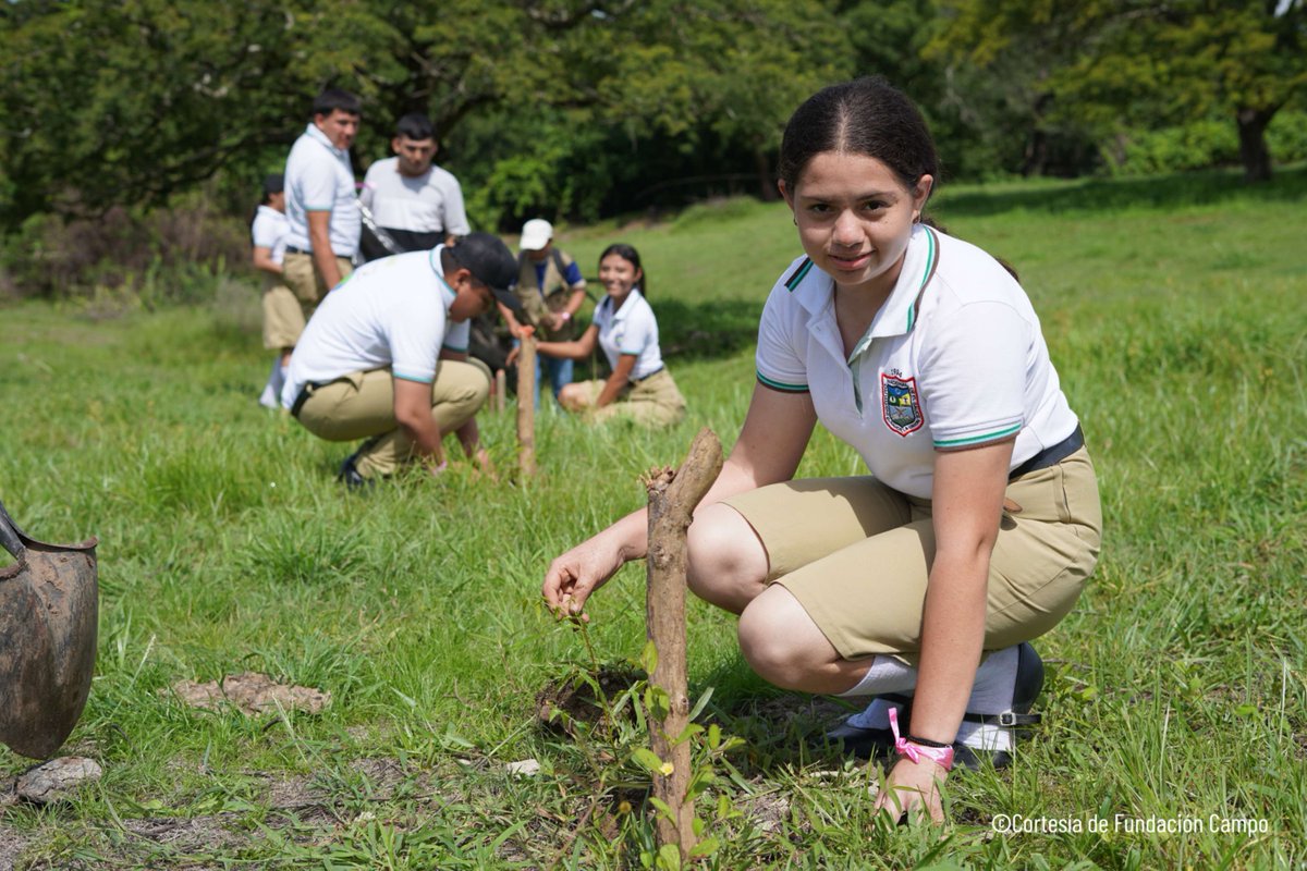 FAOElSalvador's tweet photo. 🌱 1⃣4⃣0⃣ hectáreas reforestadas en #ElSauce, #LaUniónNorte a través del proyecto #RECLIMA, ejecutado por @FAO en coordinación con el #GobiernoDeElSalvador y financiado por @theGC #ResilienciaClimática #CorredorSeco @FAOclimate https://t.co/NZHQ3zAimy