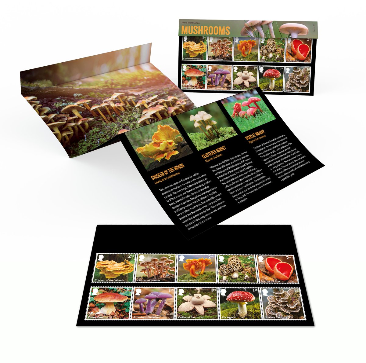 Our Presentation Pack offers the perfect way to explore the full Mushrooms stamp issue.

It includes all ten mint stamps, alongside expert commentary by Geoffrey Kibby — one of Britain’s leading Mushroom experts.
🛒 ms.spr.ly/6017Sx0BJ