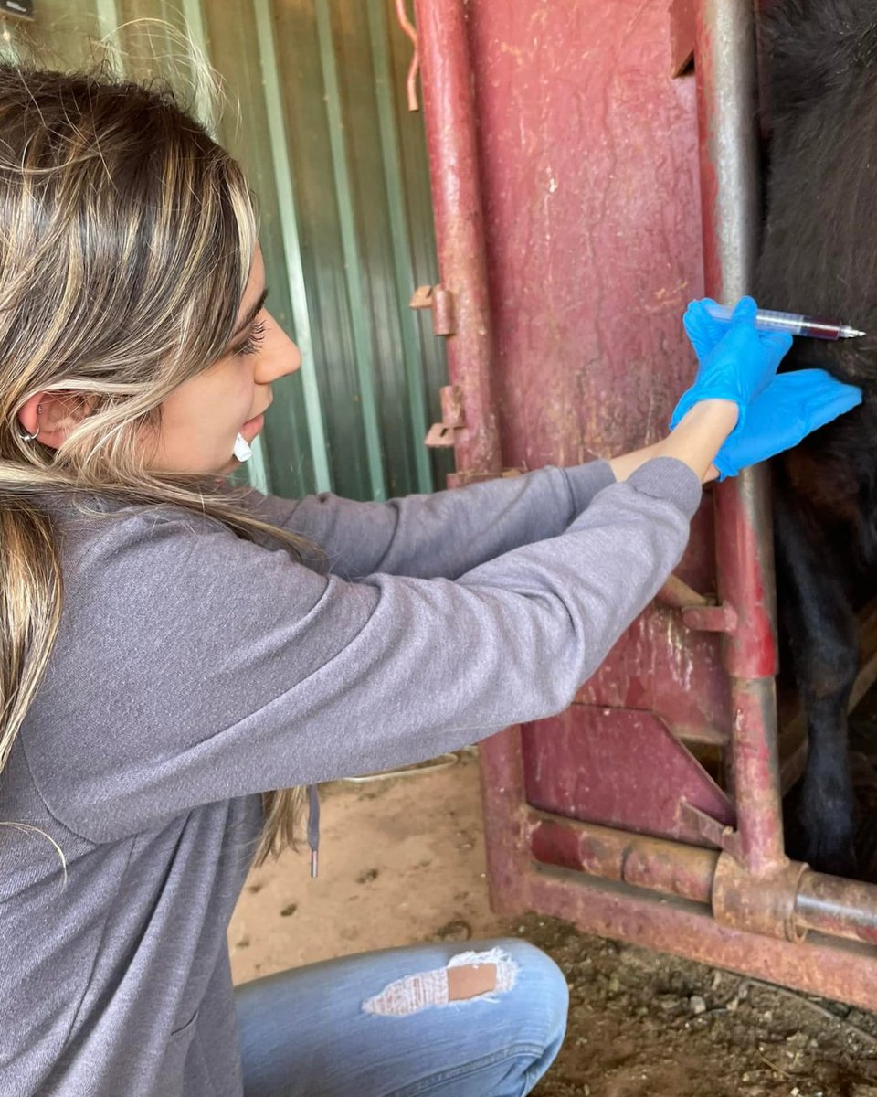 Dreaming of becoming a veterinarian? With our Pre-Veterinary program, you'll build a strong foundation in science and animal care, preparing you for vet school and beyond. Affordable. Supportive. Your Smart Start!
Visit wosc.edu/agri for more information!