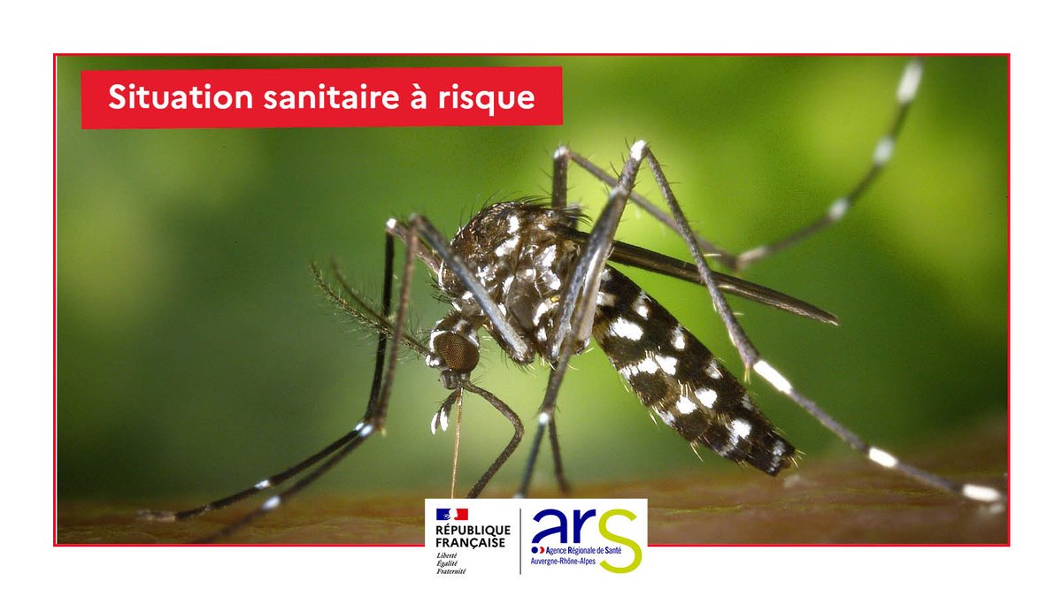 ARS Auvergne-Rhône-Alpes (@ars_ara_sante) on Twitter photo #Chikungunya | 🔴 Confirmation d'un cas autochtone à Claix en Isère
Point de situation et recommandations aux habitants : auvergne-rhone-alpes.ars.sante.fr/forte-suspicio…
<a href="/Prefet38/">Préfète de l'Isère 🇨🇵🇪🇺</a> #Chikungunya | 🔴 Confirmation d'un cas autochtone à Claix en Isère
Point de situation et recommandations aux habitants : auvergne-rhone-alpes.ars.sante.fr/forte-suspicio…
<a href="/Prefet38/">Préfète de l'Isère 🇨🇵🇪🇺</a>