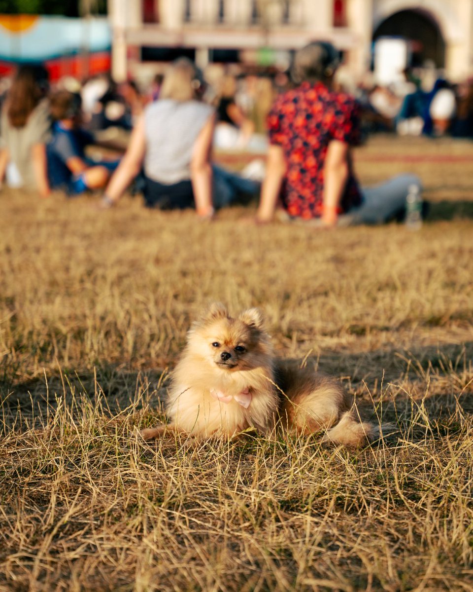 bstopenhouse's tweet image. There's nothing better than spending time with your friends and loved ones in the summer sun ☀️
Join us at Hyde Park for many more fun, free activities and events this week 🥳
For more information, visit bst-hydepark.com
#OpenHouse #BSTHydePark #OutdoorEvent