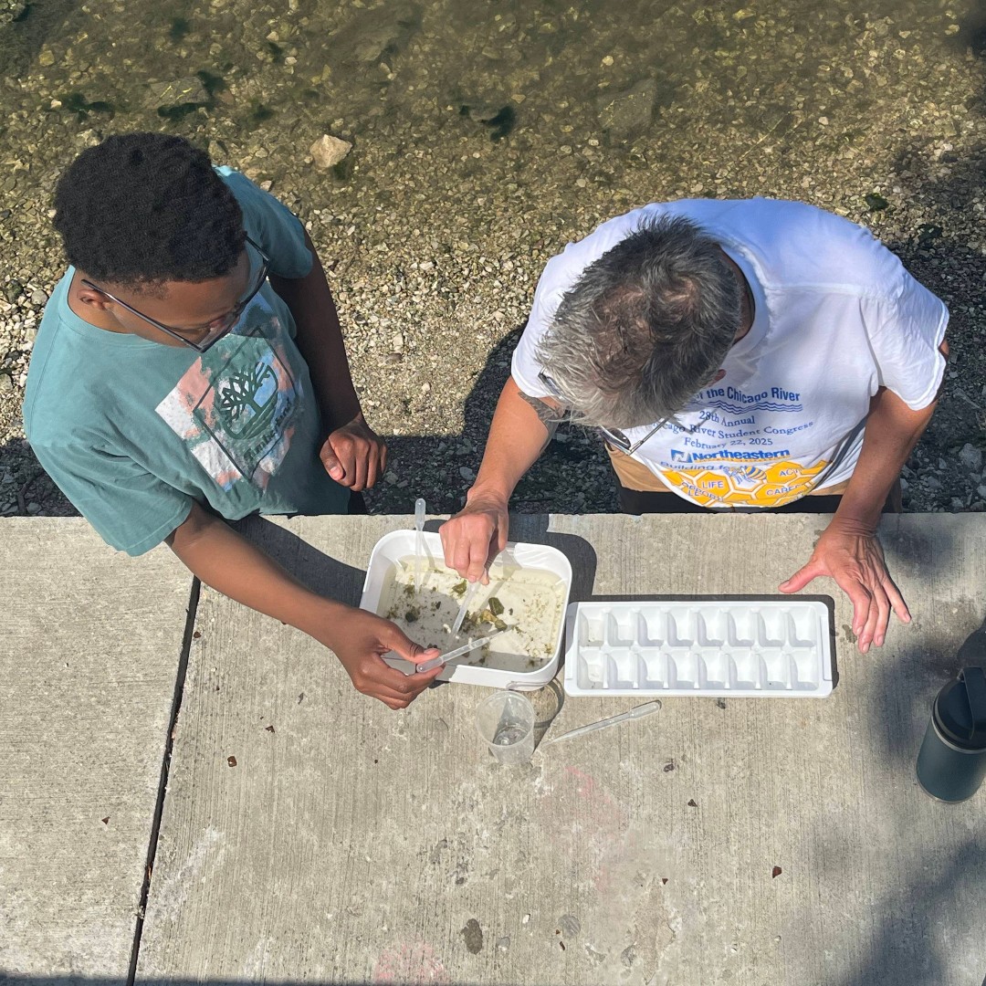 DePaulPrep's tweet image. 🌿☀️ Nature is all around us!🍃🦋🌼
Middle schoolers who attended our Outdoor Explorers camp spent time in Clark Park and along the river discovering the world around us. From small aquatic organisms to reptiles, campers learned to appreciate the beauty of the outdoors.