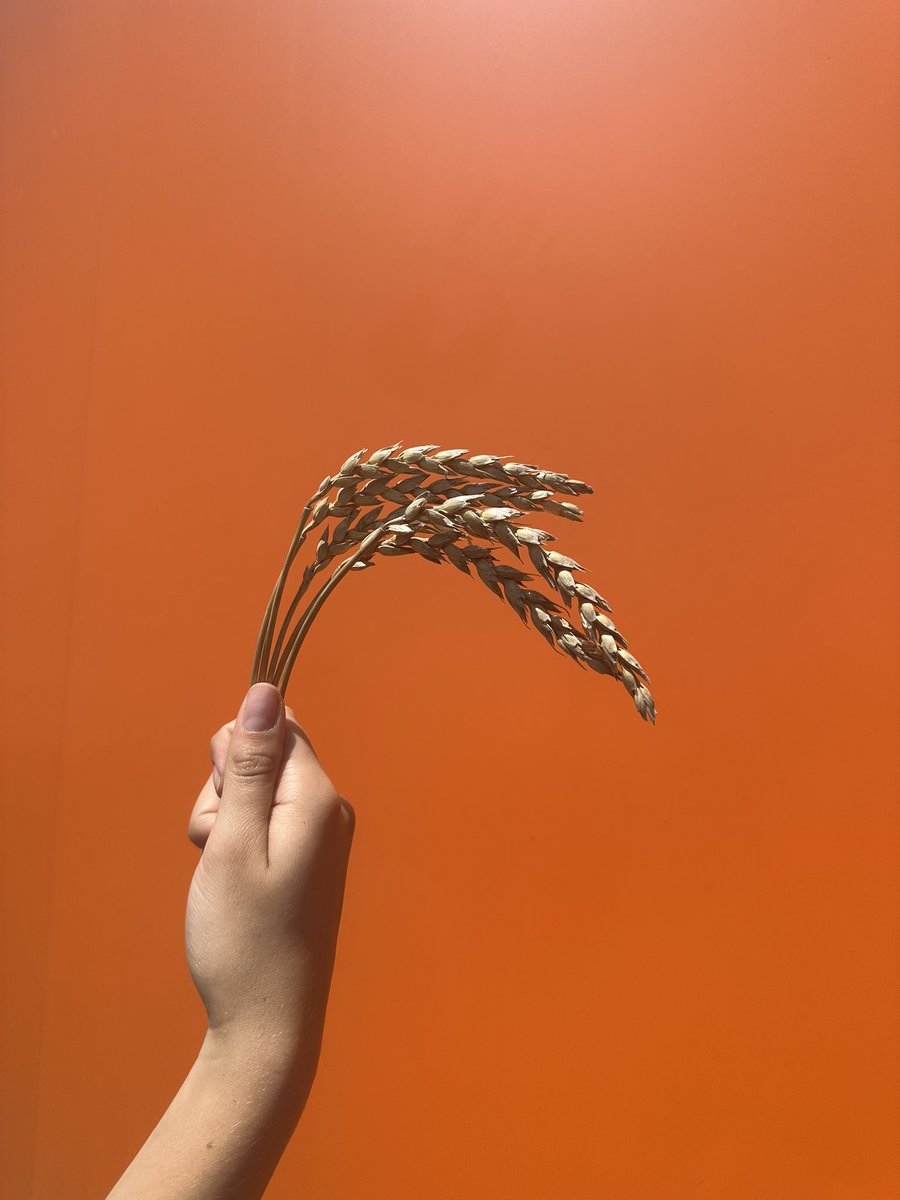 Brett Carver tweet media