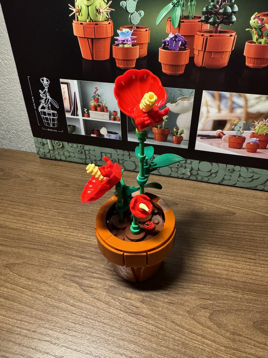 put together a bunch of Lego plants this morning