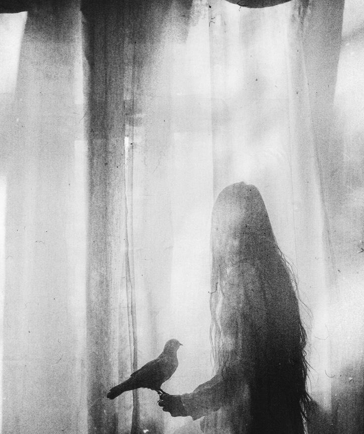 ashley_r_oden's tweet image. Sweet, sweet nightingale
What rook has made you cry
He sang you love, then let you fall
Beneath his shiny lie
No need to beg, no need to weep
I’ll lay him down so very deep
Let worms recall the words he spoke
While you, my sweet, find sleep
#vss365
