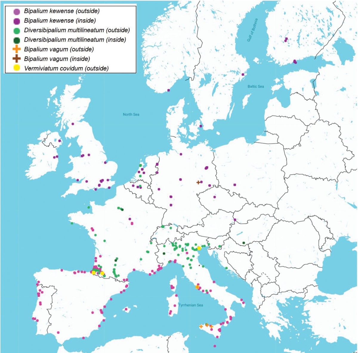 Plathelminthe4's tweet image. Our new paper is published! Everything you need to know about two species of invasive land flatworms in the Netherlands.
doi.org/10.3897/neobio…
"Going Dutch: European distribution of non-native land flatworm species belonging to Geoplaninae and Bipaliinae with focus on the…