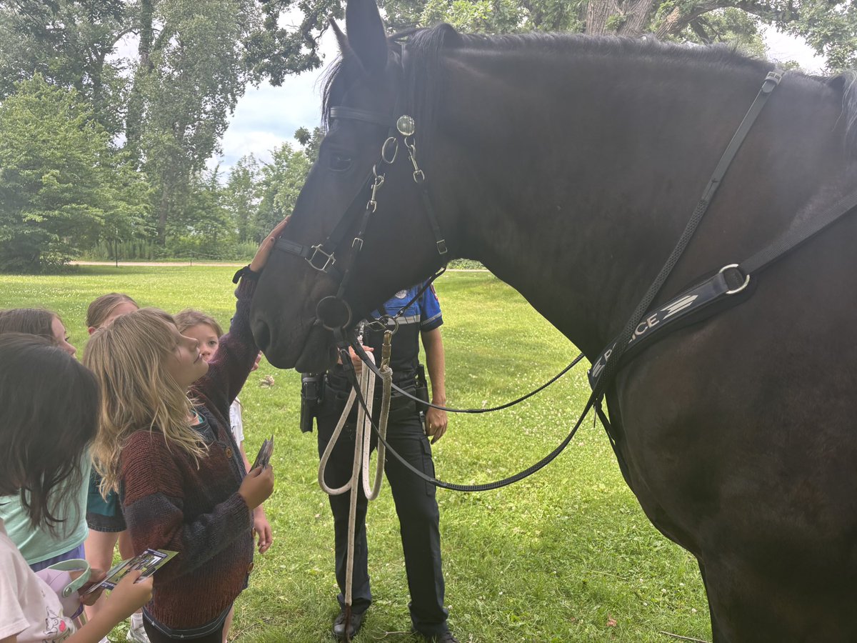 UWMadisonPolice's tweet image. It’s Animal Kingdom Week at @uwrecwell summer camp! We had so much fun showing off our awesome animals! 🐴 🐶