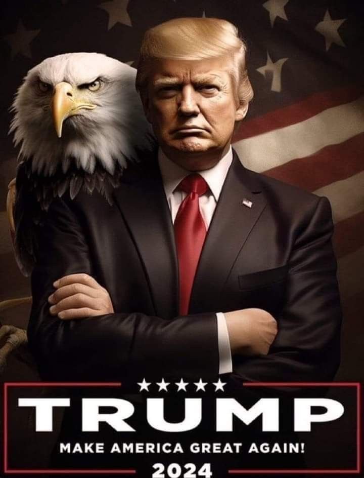 If you are a Trumper click the U.S Flag 🇺🇸  

I will follow you back. 
  
#MAGA #AmericaFirst #Trump #IFBAP